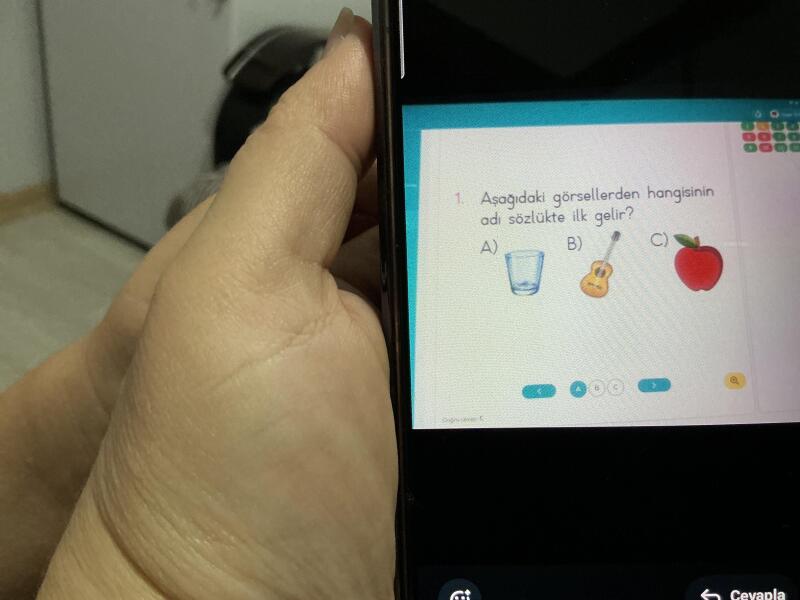 Bu sorunun cevabı nasıl c şıkkı?