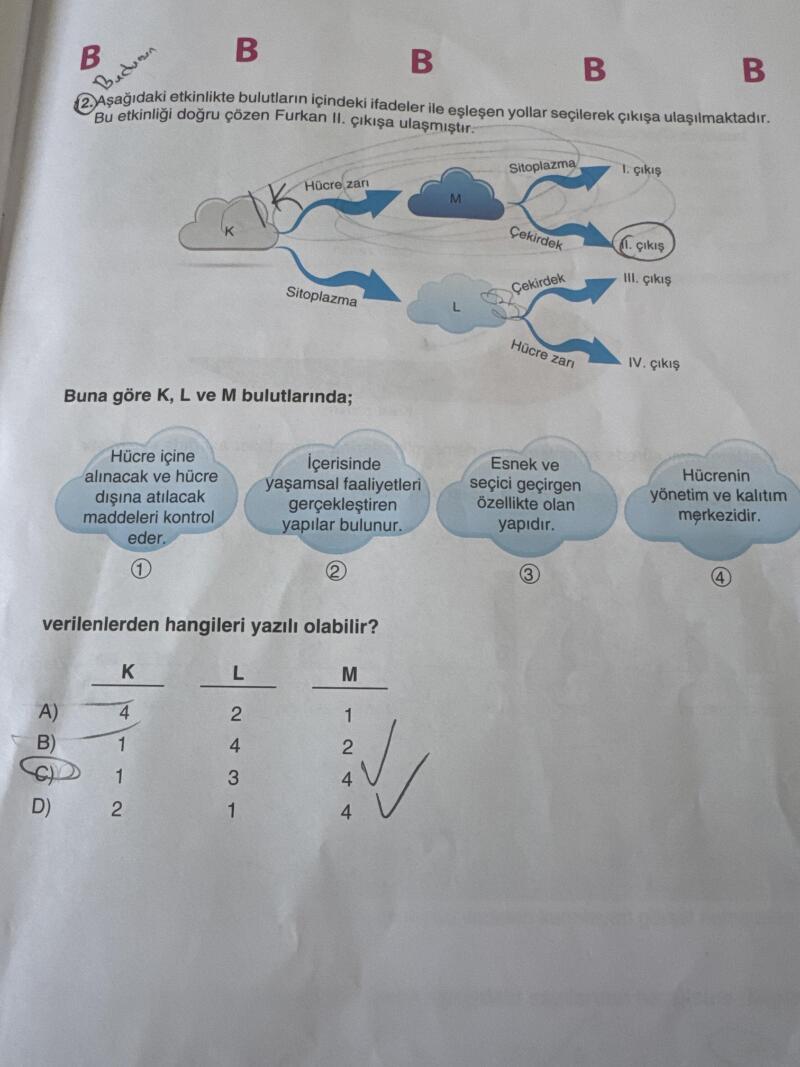 Cevabı doğru mudur
