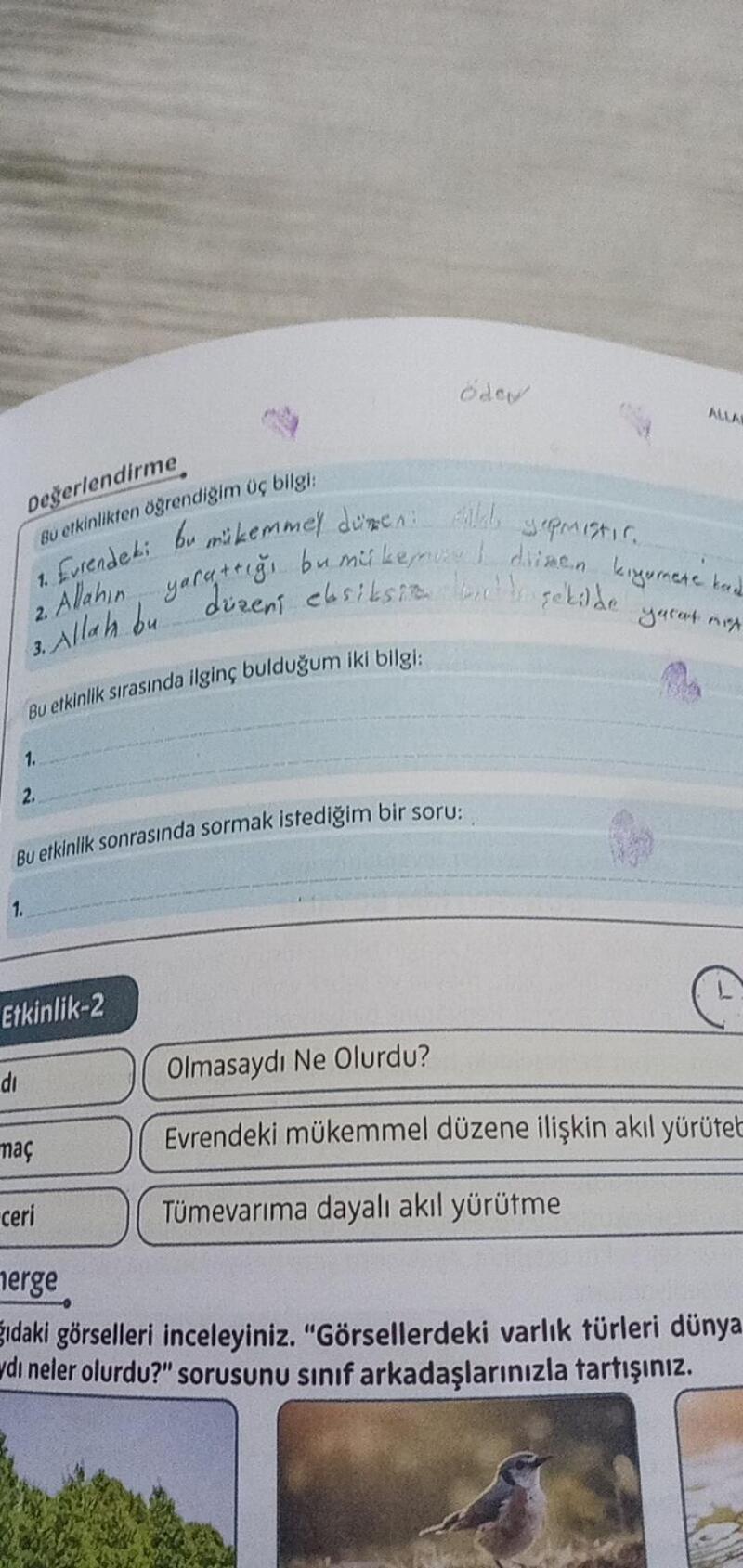 Değerlendirme sorusunu anlamadım yardım eder misiniz?