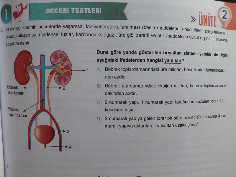 İlk bir kişiye yıldız⭐️⭐️🌠🌠