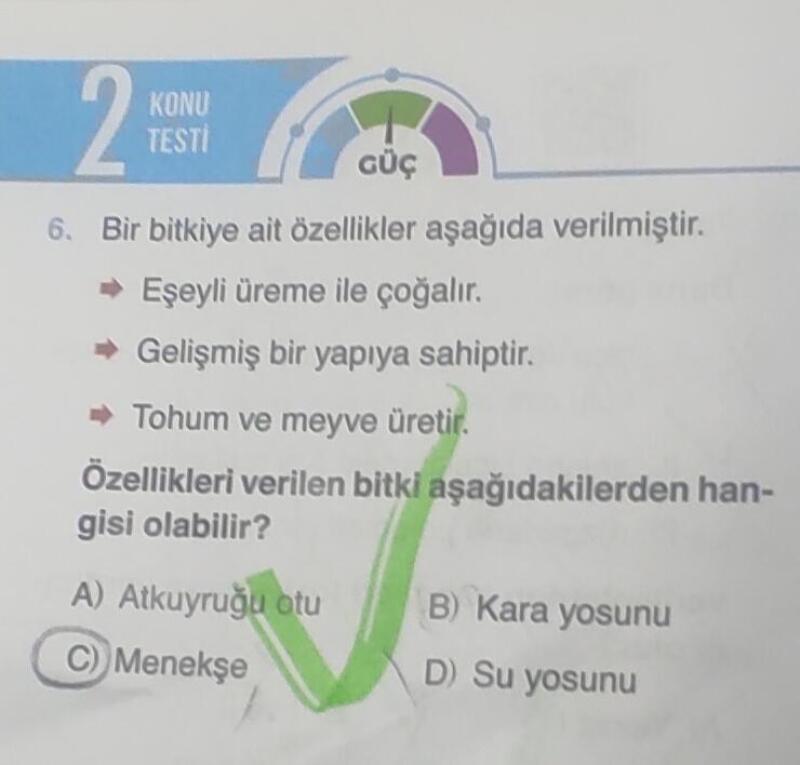 Cevap anahtarı C diyor. Soru hatalı mıdır? Anlatan ilk ikiye ⭐