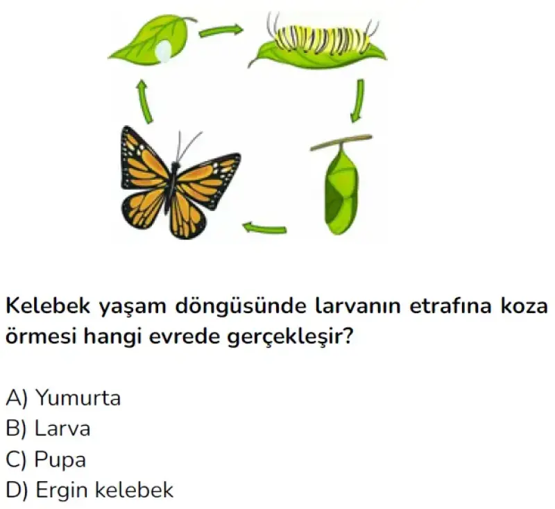 BU SORUYU ÇÖZER MİSİNİZ 87+34(SİLMESİN DERSLİG DİYE) İLK BİLENE YILDIZZZ