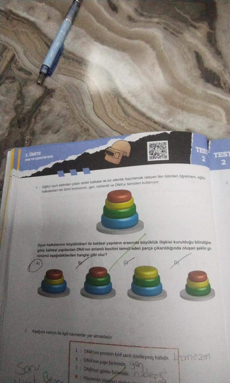 Arkadaşlar merhaba 1.soruyu çözemedim yardımcı olun