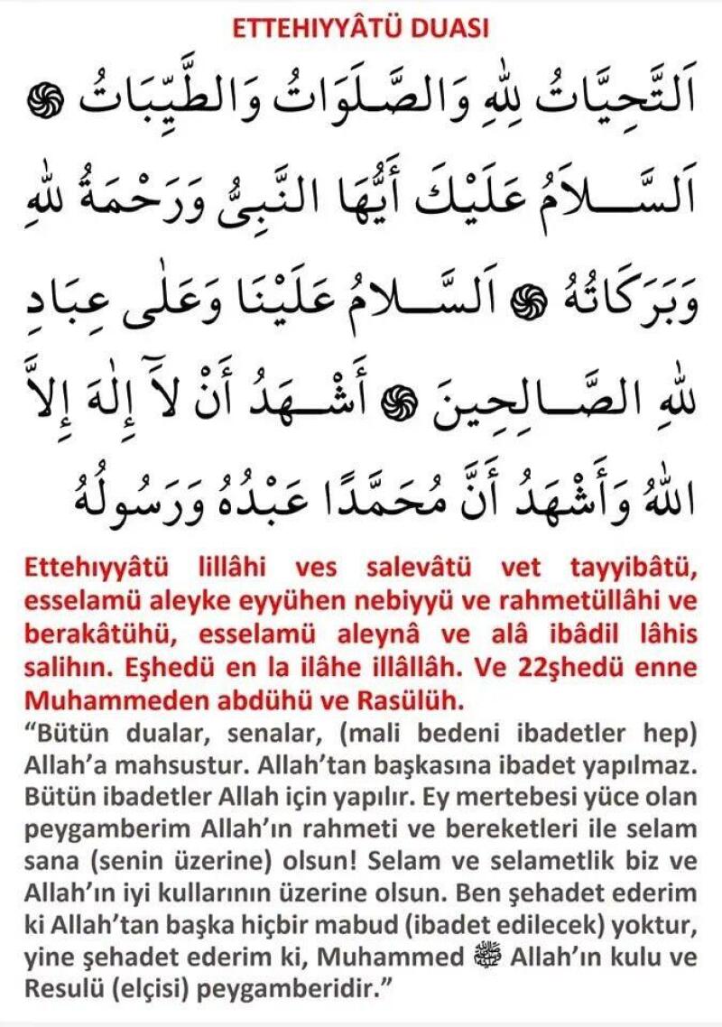 Cevap Resmi