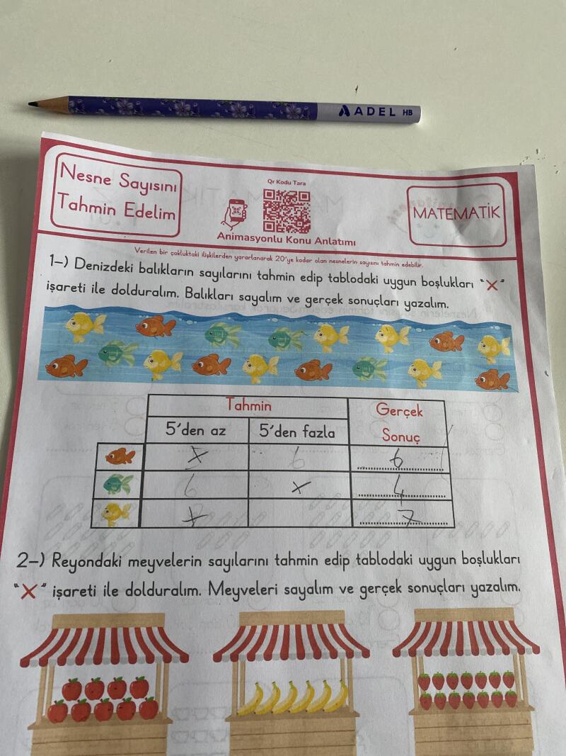 Doğru mu yapmışım