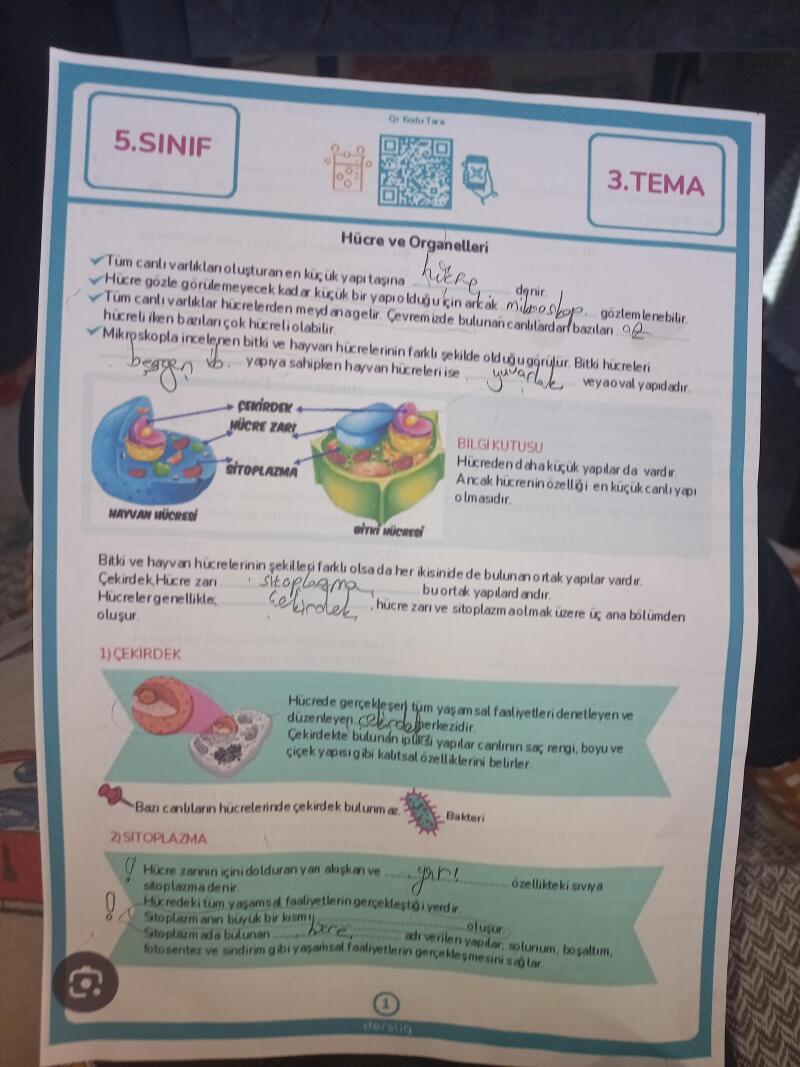 Cevaplarını alabilir miyim?♡