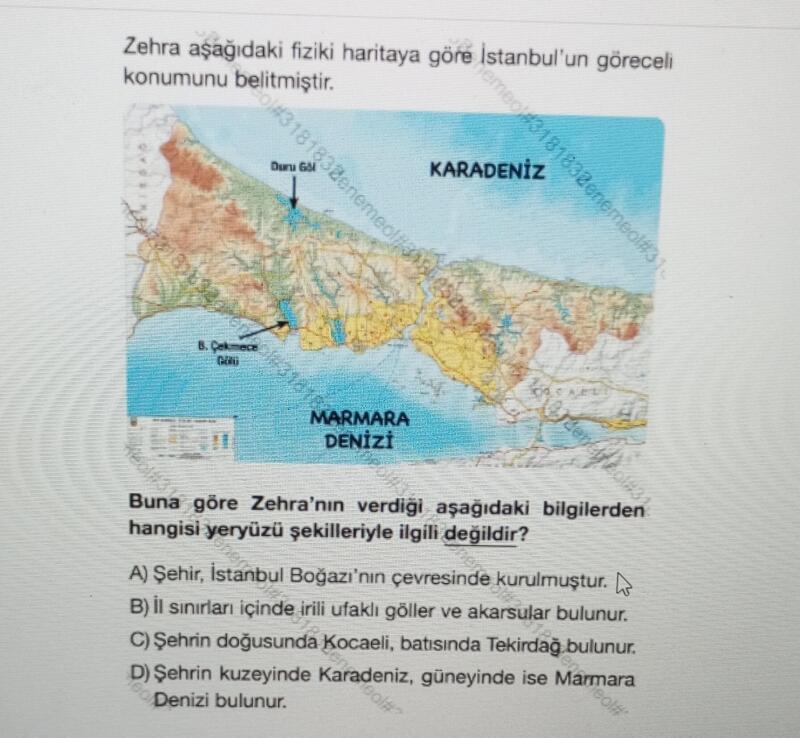 Anlaamadım yardımm