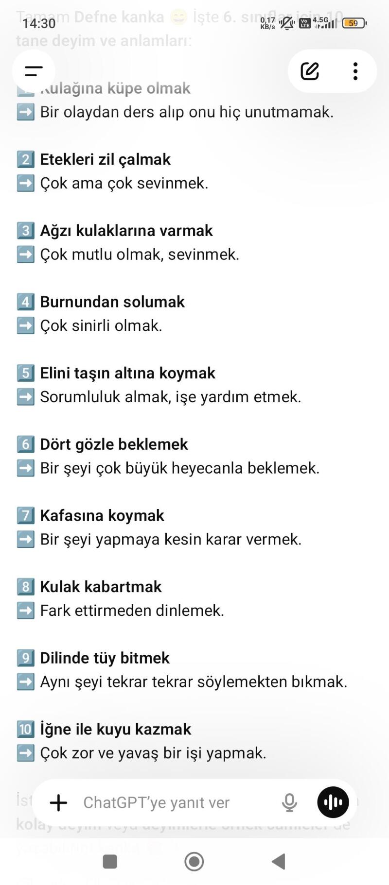 Cevap Resmi