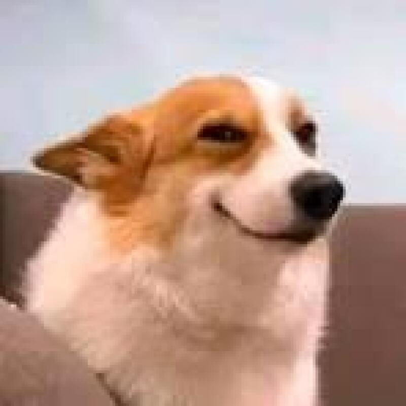 999x999 kaç eder 18 mart  saat 1'e kadar cevap veren iki kişiye yıldııııız (saati 1dakika bile geçse vermem ona göre hızlı olun)