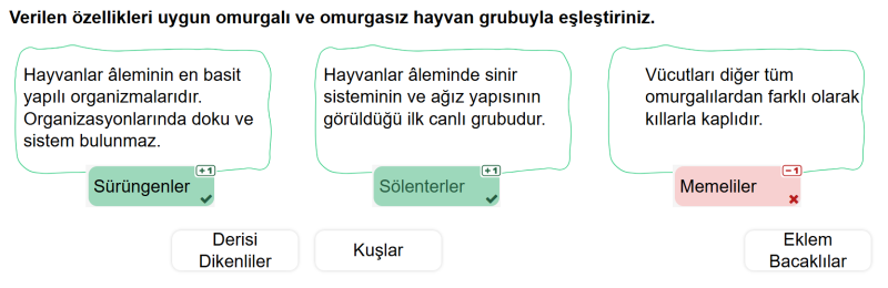 Sonuncusunun cevabı ne olmalı ?