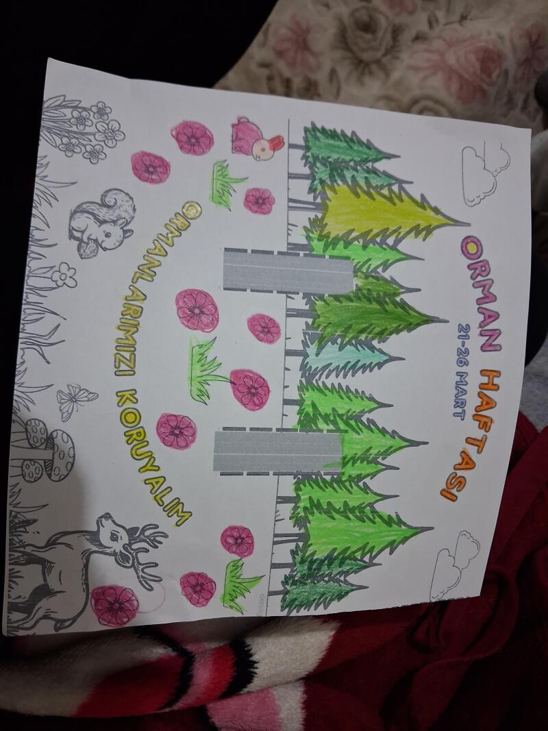 Nasıl yapacağımızıtam anlamadım