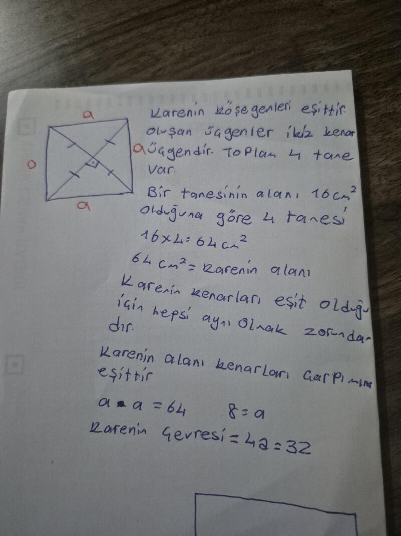Cevap Resmi