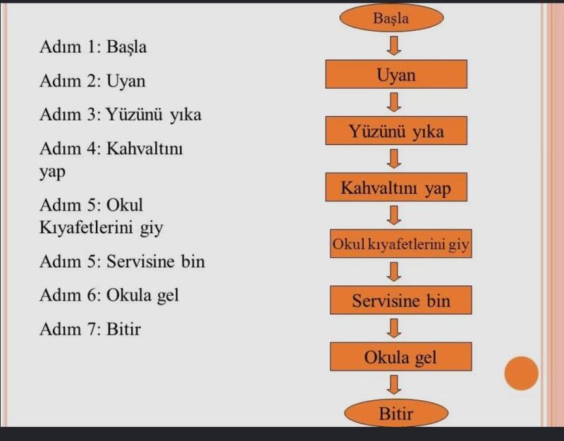 Cevap Resmi