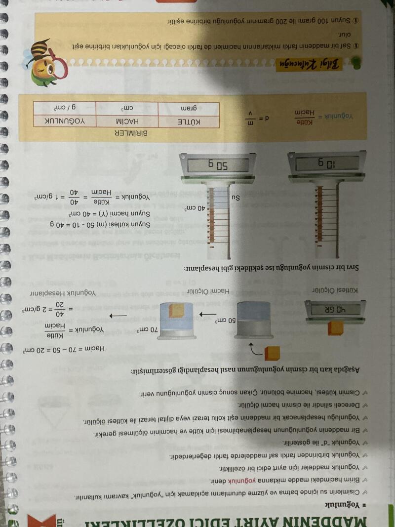 Cevap Resmi