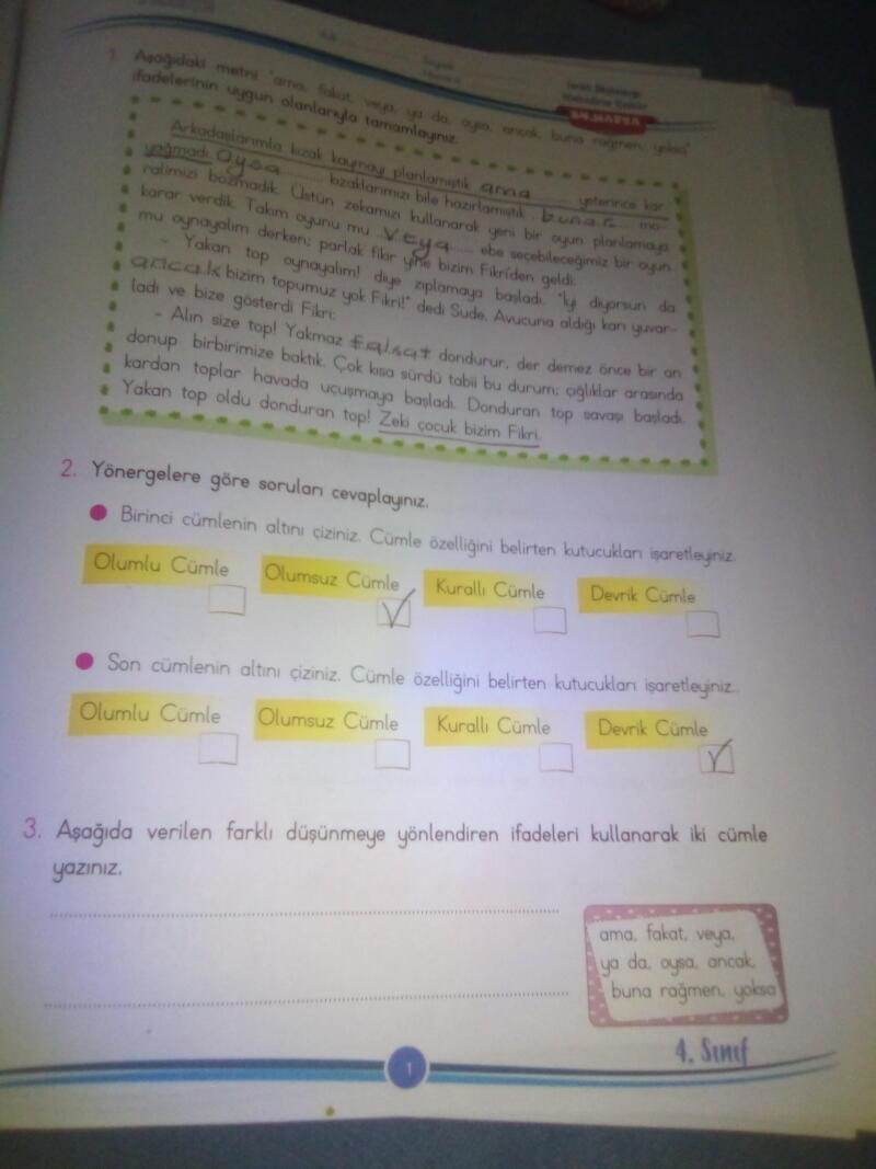 Bunu yapar mısın