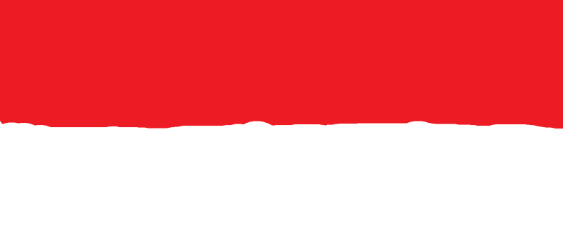 Cevap Resmi
