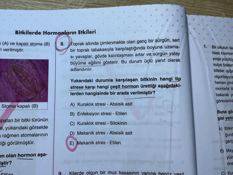 Bu soruda giberellin gövde boyuna uzamayı sağladığı için stres anında onu üretmesi gerekmez mi¿ Cevaplarda yok.