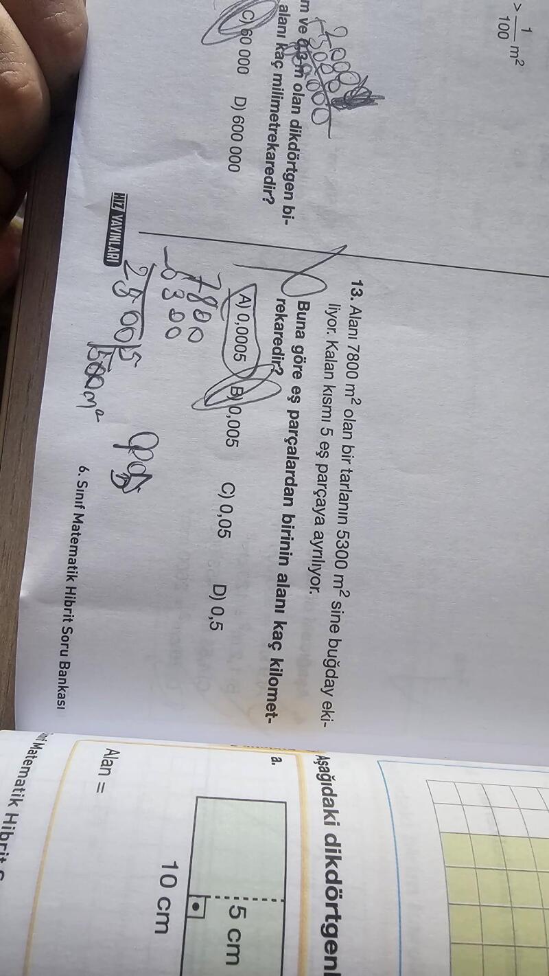 medine kara'ya özel soru cevap ne