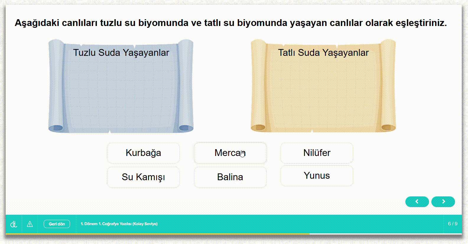 11. sınıf 1. dönem 1. yazılı