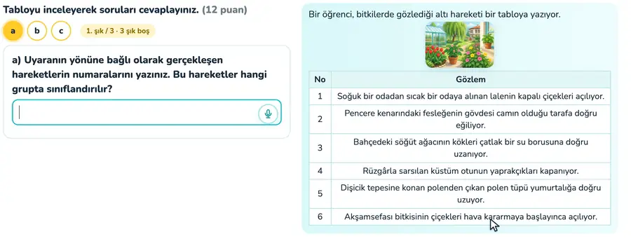 Bitkilerde ışığa yönelim hareketi 11. sınıf biyoloji provasında bitki gövdesi ve kökünün ışığa göre yönelimlerinin örnek cevapla karşılaştırıldığı animasyon