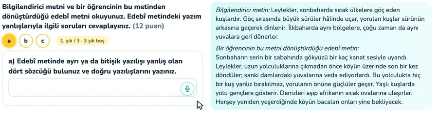 10. sınıf Türk dili ve edebiyatı provasında edebî metindeki yazım yanlışlarının bulunup düzeltildiği animasyon