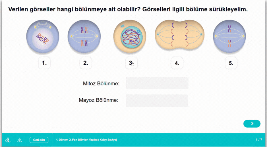 7. sınıf yazılı provası
