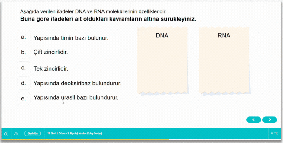 12. sınıf yazılı provası