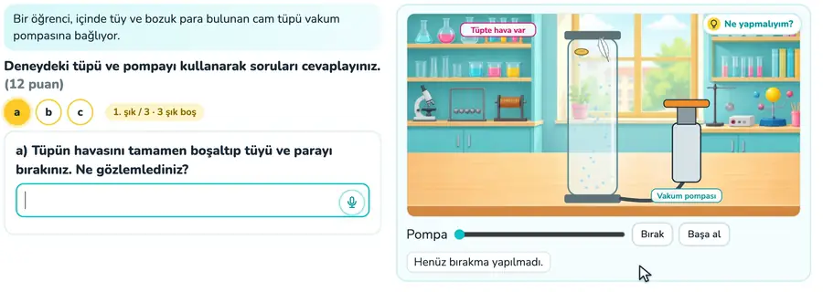 Havasız tüpte serbest düşme 11. sınıf fizik provasında havası boşaltılan tüpte tüy ve paranın birlikte düşüşünün açıklandığı animasyon