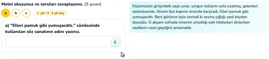 Metinde söz sanatları 8. sınıf Türkçe provasında metindeki cümlelerde benzetme, abartma ve kişileştirme sanatlarının bulunduğu animasyon