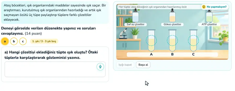 Ateş böceği ve ATP deneyi 10. sınıf biyoloji provasında ateş böceği özütüne çözeltiler eklenip tüplerin karanlıkta karşılaştırıldığı animasyon
