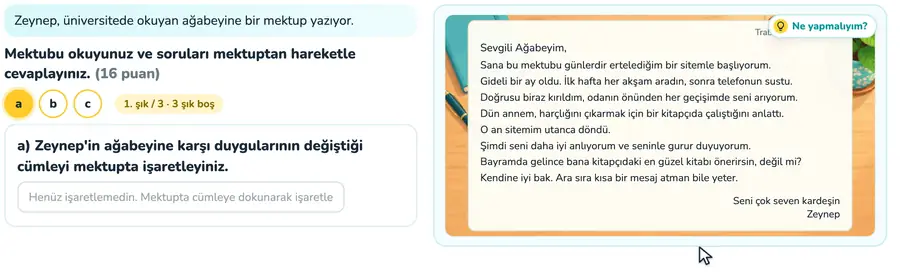 Mektupta duygu değişimi 11. sınıf Türk dili ve edebiyatı provasında mektuptaki duygu değişiminin işaretlenip örnek cevapla açıklandığı animasyon