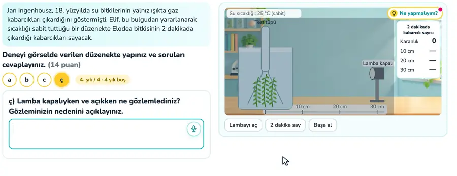 Işık ve fotosentez deneyi 10. sınıf biyoloji provasında lamba Elodea bitkisine yaklaştırılıp gaz kabarcıklarının sayıldığı animasyon